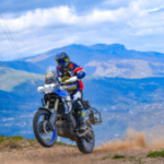 Profile picture of Rui Moreira