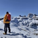 Profile picture of Markus