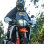 Profile picture of José Mário Santos