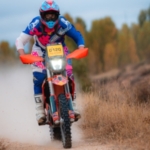 Profile picture of Gus