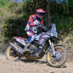 Profile picture of Daniele Angerillis