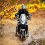 Profile picture of Dan