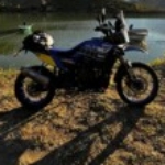 Profile picture of João Matos 1982