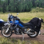 Profile picture of Lane Turner