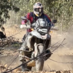 Profile picture of Steve