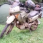 Profile picture of Martijn