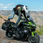 Group logo of Indonesia