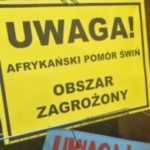 Group logo of Born.4ride grupa prywatna