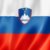 Group logo of Slovenian DMD Users